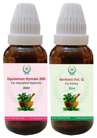 Equisetum Hy 200,  Berberis vul. Q For Interstitial Nephritis